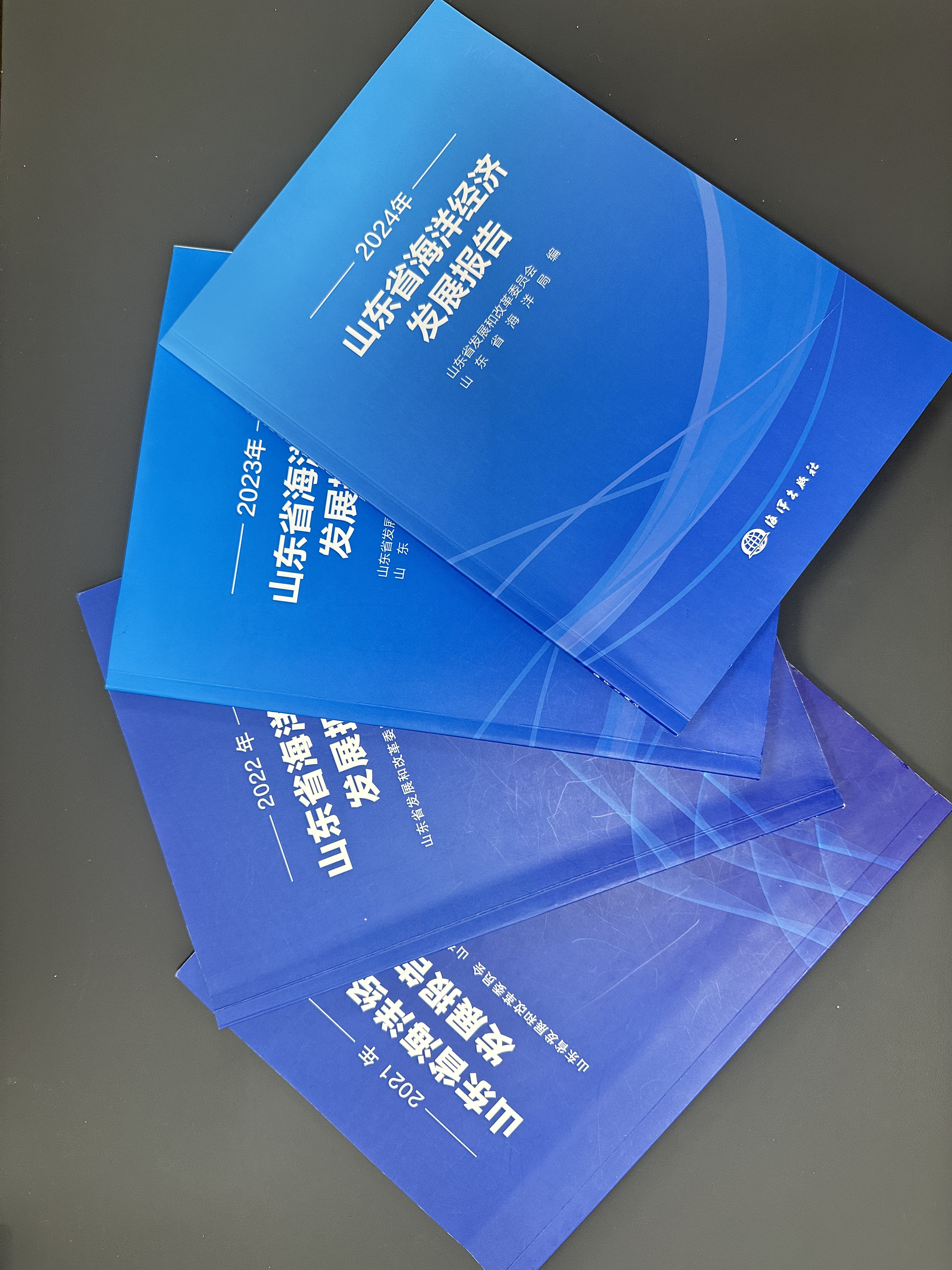 山东省海洋经济发展报告.jpg