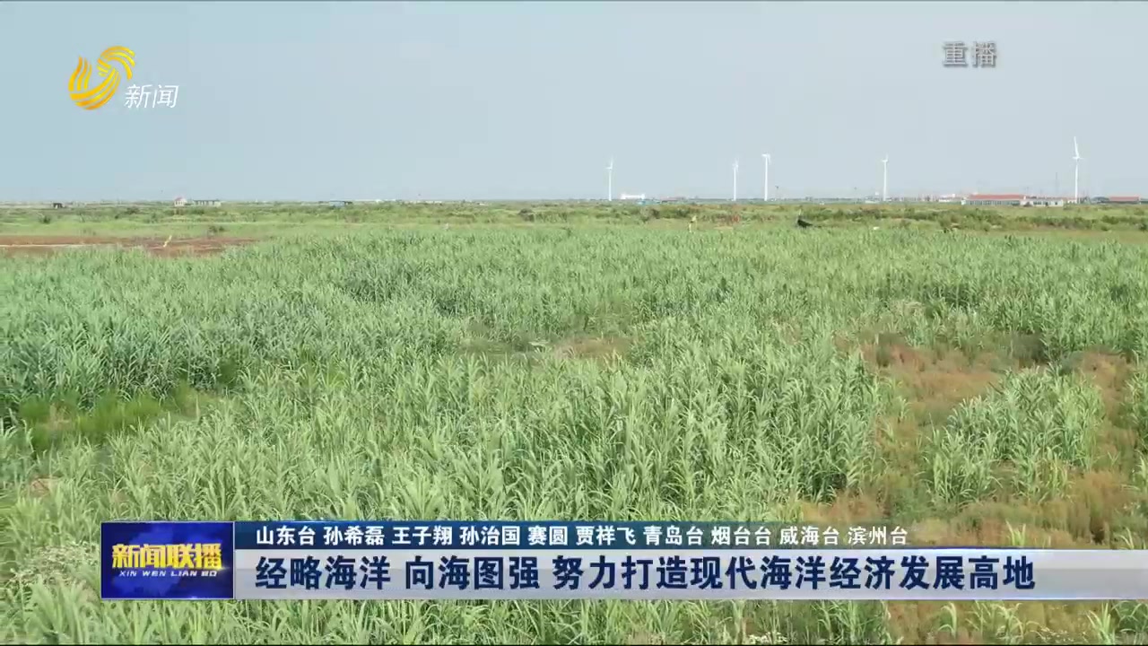 视频封面1