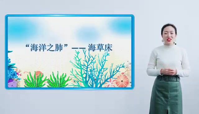 海洋之肺--海草床