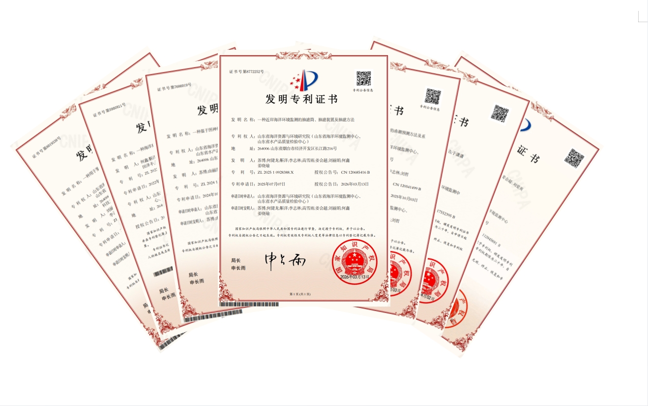 专利拼图.png
